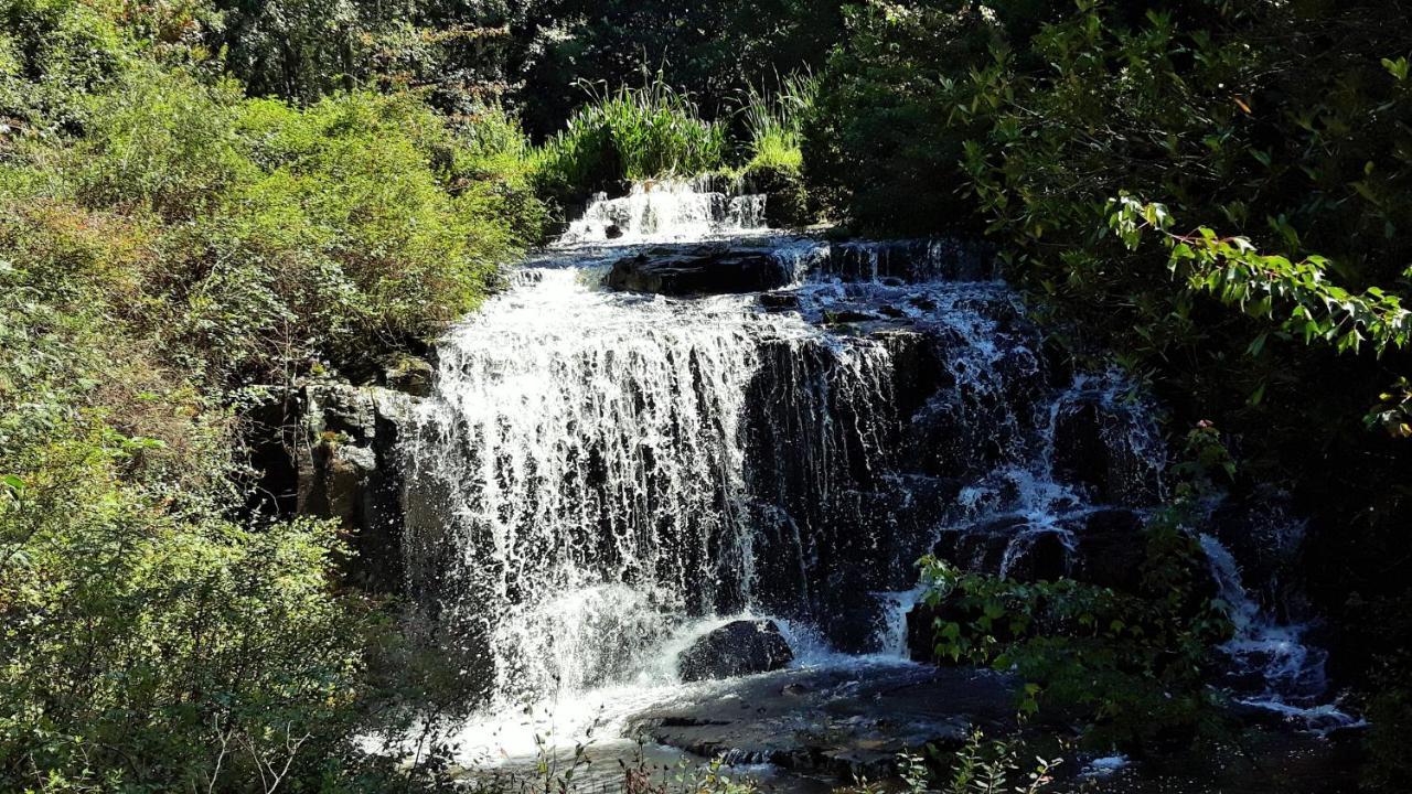 Kings Lodge Hotel Hogsback Buitenkant foto