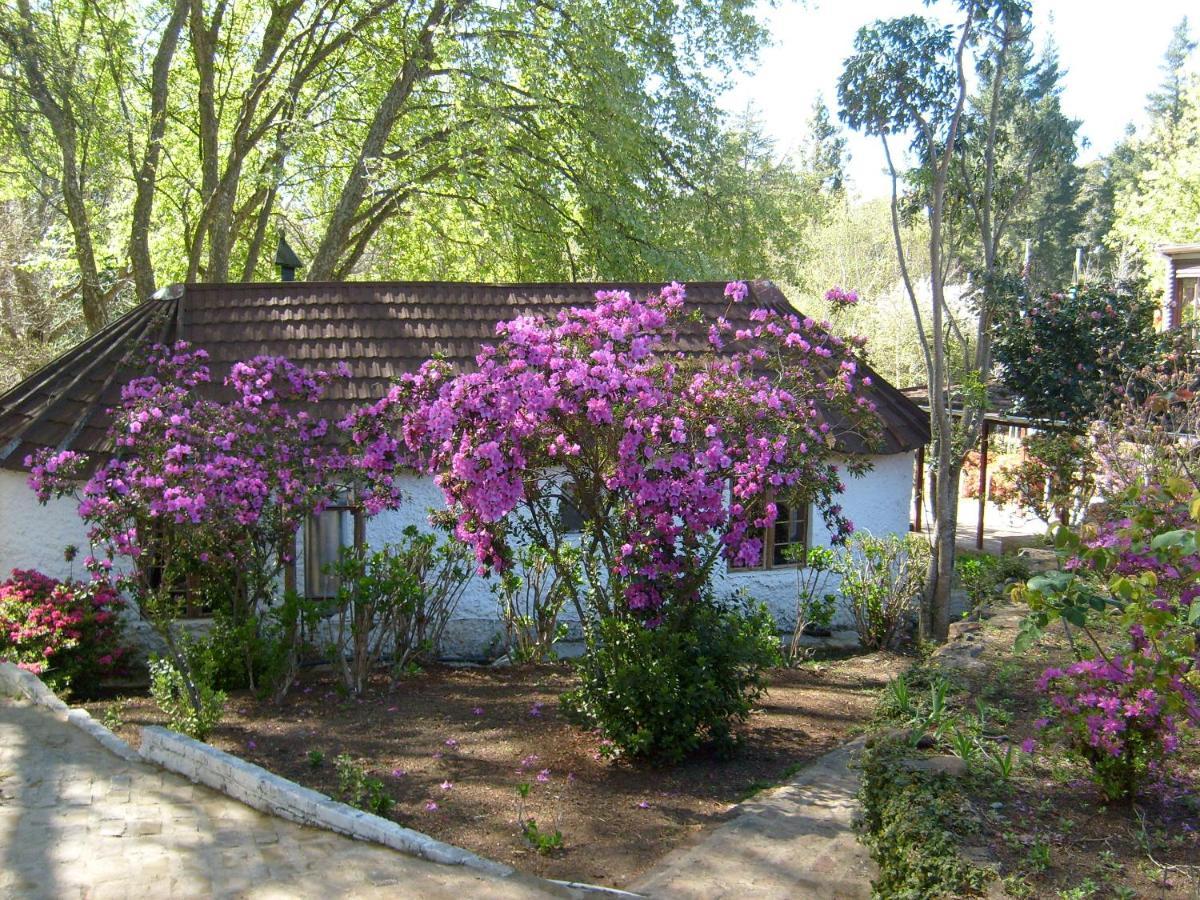 Kings Lodge Hotel Hogsback Buitenkant foto