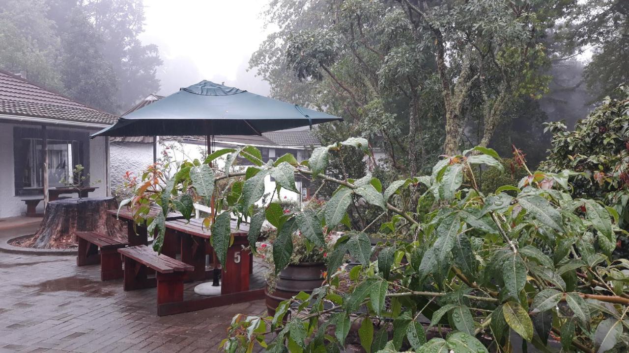 Kings Lodge Hotel Hogsback Buitenkant foto