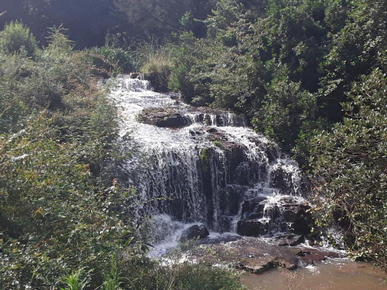 Kings Lodge Hotel Hogsback Buitenkant foto