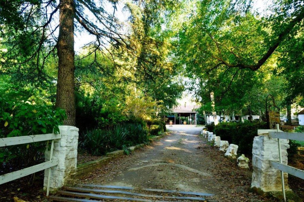 Kings Lodge Hotel Hogsback Buitenkant foto