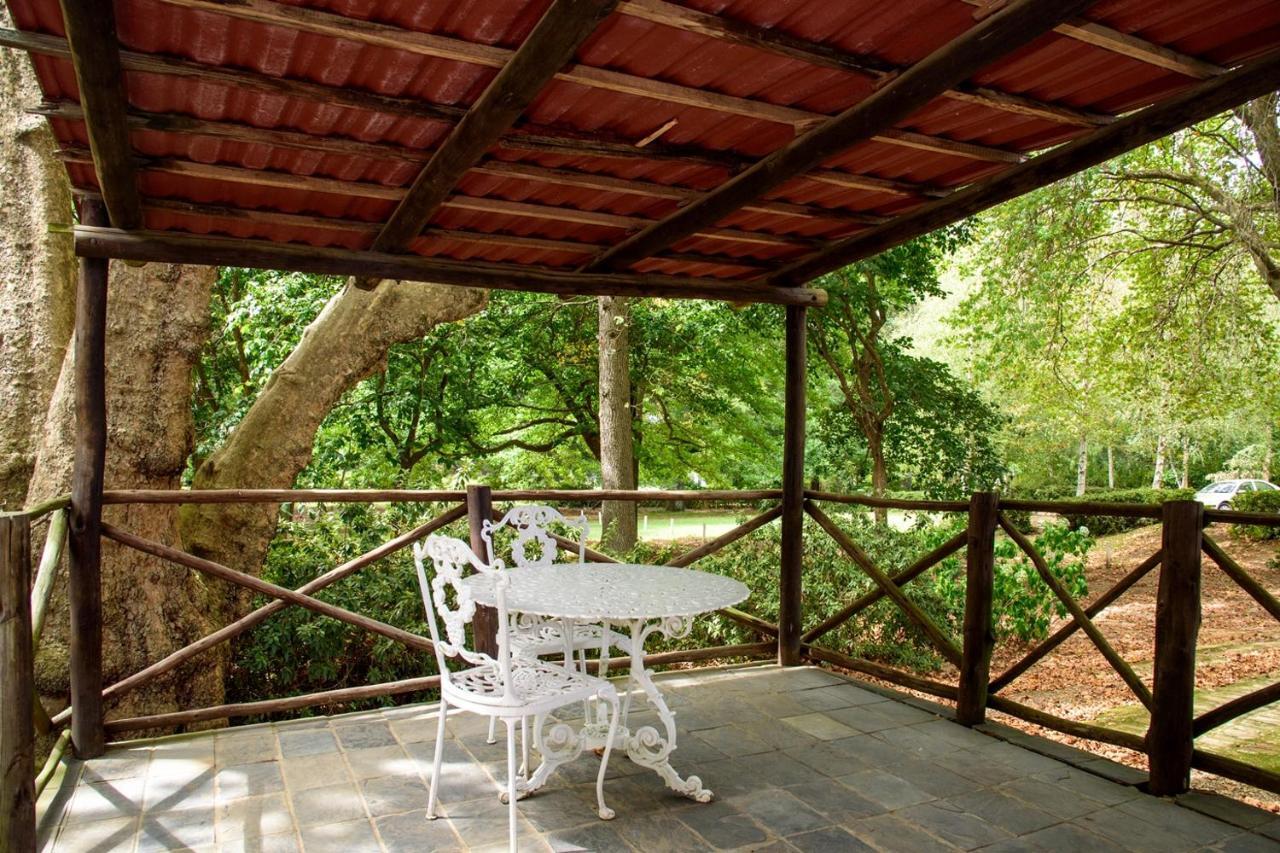 Kings Lodge Hotel Hogsback Buitenkant foto