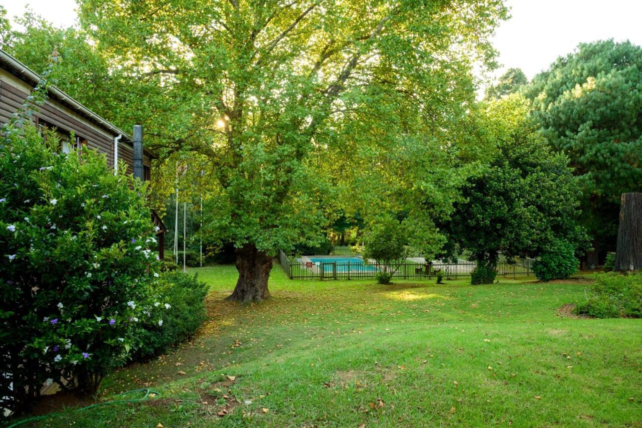 Kings Lodge Hotel Hogsback Buitenkant foto